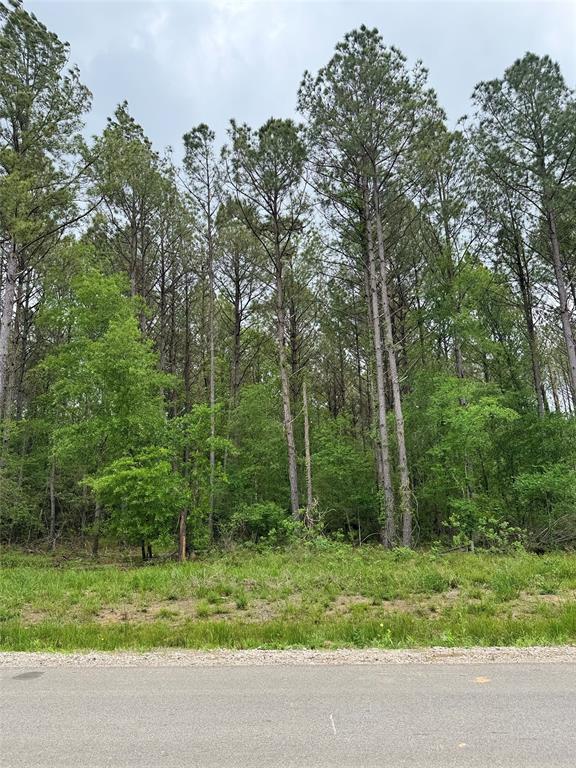 1288 Road 6604, Dayton, Texas image 8