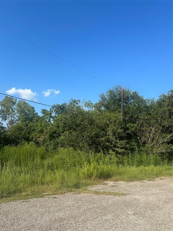 Lockheed Street Street, Pearland, Texas image 3