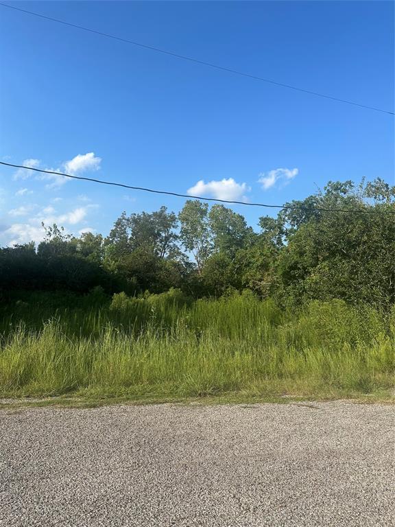 Lockheed Street Street, Pearland, Texas image 2