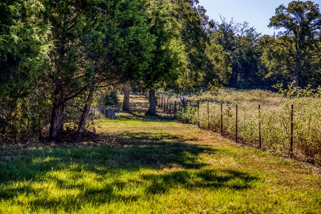 2080 Dead End Lane, Ledbetter, Texas image 35