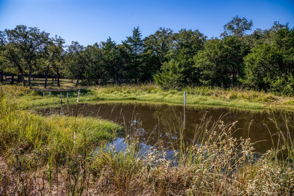 2080 Dead End Lane, Ledbetter, Texas image 6