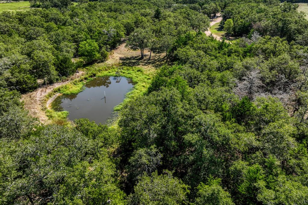 2080 Dead End Lane, Ledbetter, Texas image 36