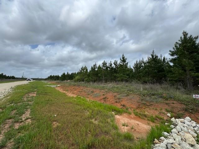 TBD Blackjack Rd, Tract 48, Livingston, Texas image 6