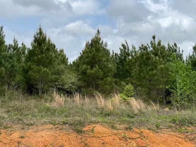 TBD Blackjack Rd, Tract 48, Livingston, Texas image 5