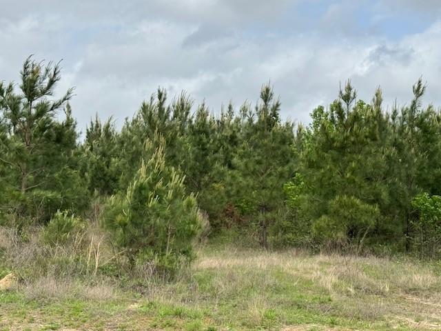TBD Blackjack Rd, Tract 48, Livingston, Texas image 4