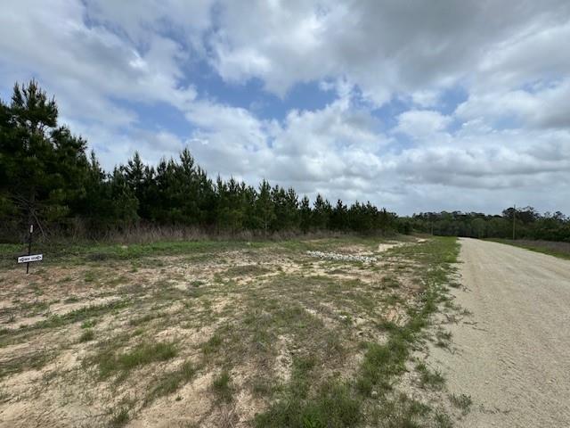TBD Blackjack Rd, Tract 48, Livingston, Texas image 2
