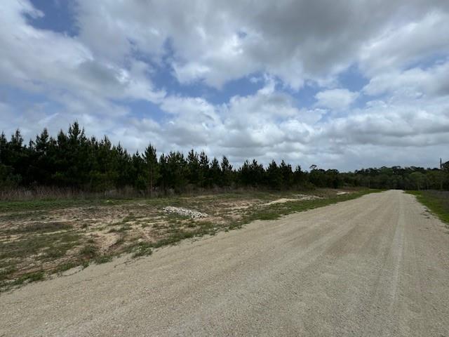 TBD Blackjack Rd, Tract 48, Livingston, Texas image 1