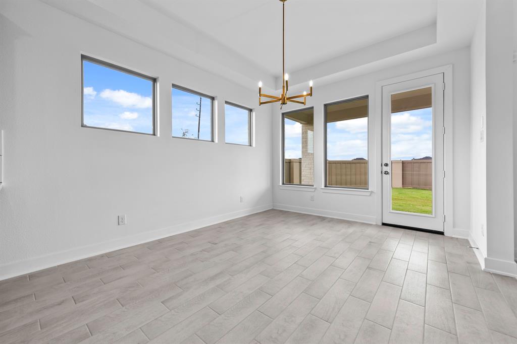 243 Butterfly Orchid Court, Willis, Texas image 10