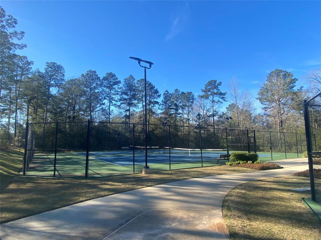 243 Butterfly Orchid Court, Willis, Texas image 31