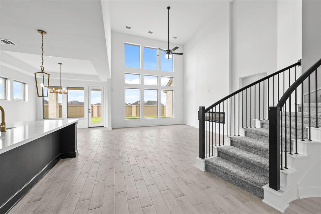 243 Butterfly Orchid Court, Willis, Texas image 3