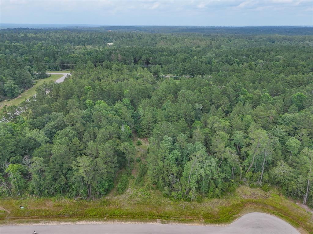 104 Eagle Run Road, Willis, Texas image 6