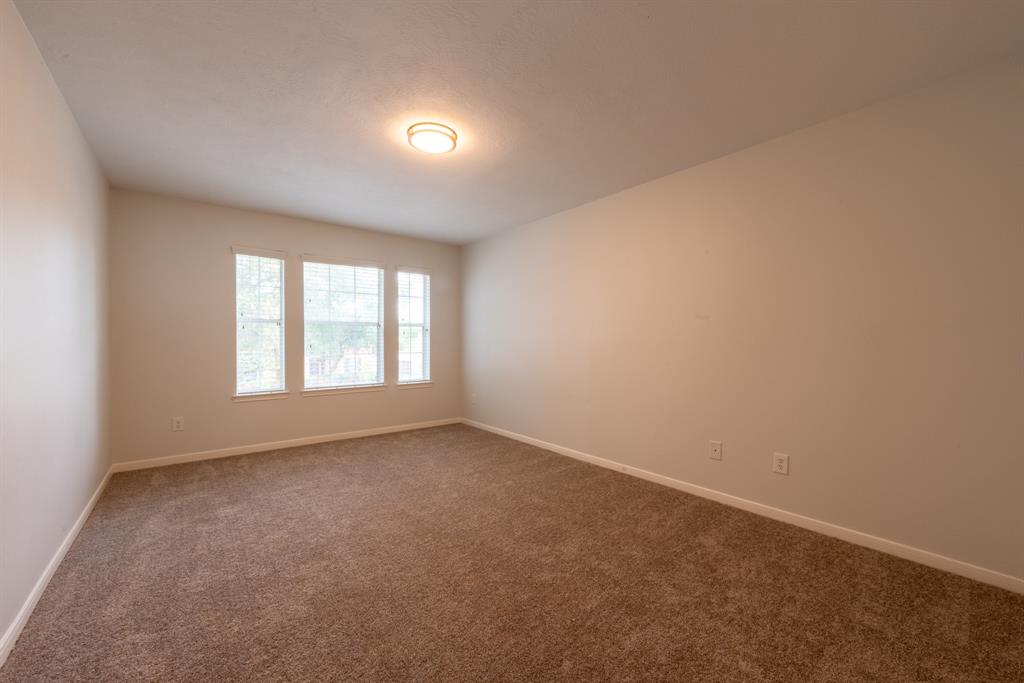3902 Houston Lake Drive, Pearland, Texas image 33