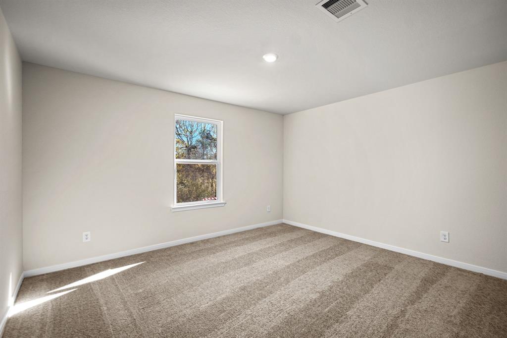 373 Tejas Trail, Waller, Texas image 19