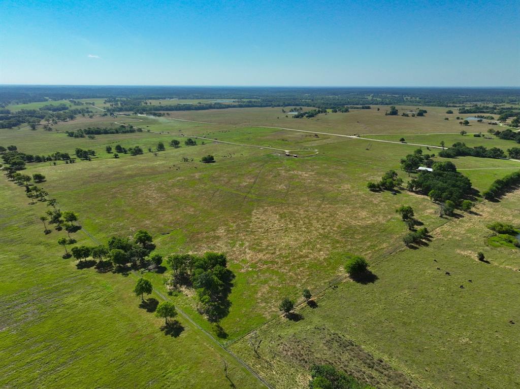 00001 Cr 305 Road, Navasota, Texas image 14