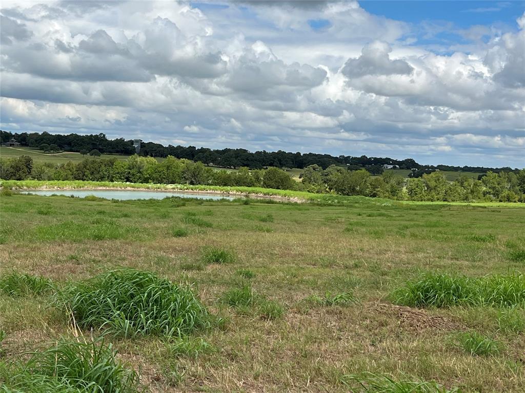 TBD Hartfield Tract 2 Road, Round Top, Texas image 14