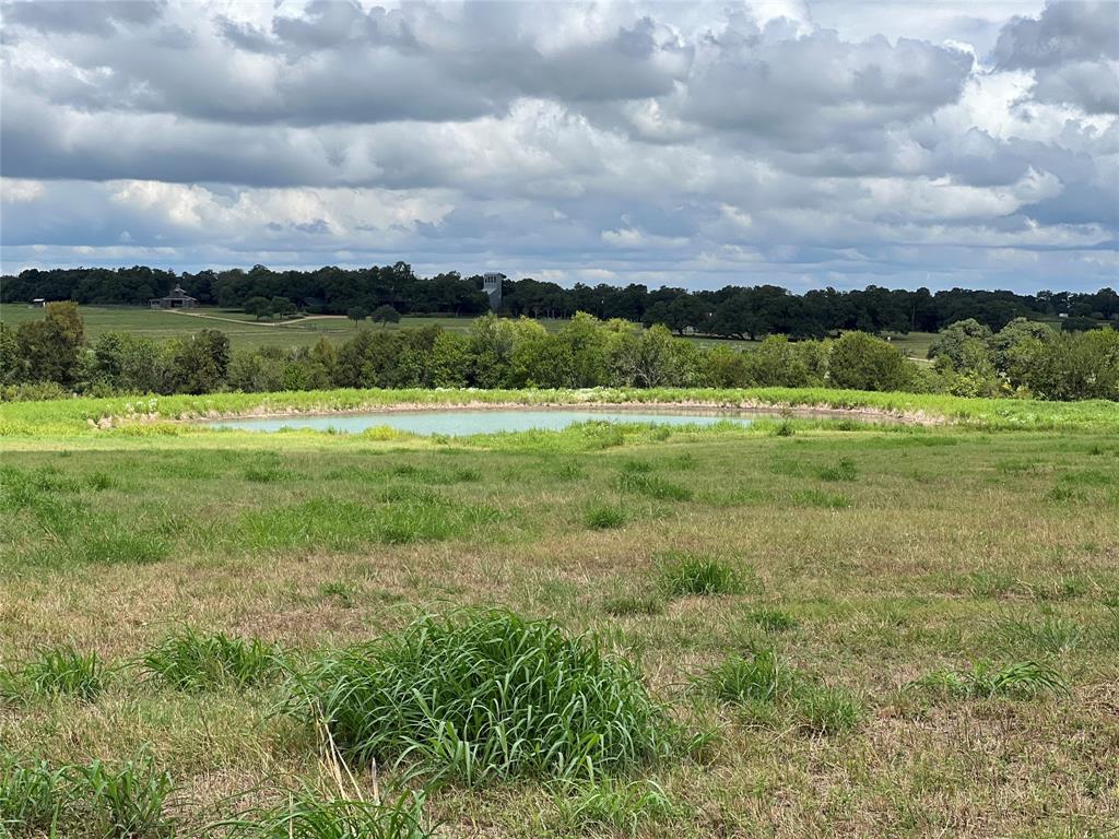 TBD Hartfield Tract 2 Road, Round Top, Texas image 16