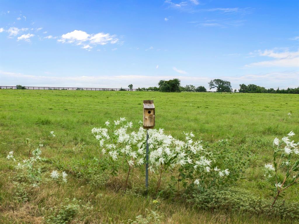 TBD Hartfield Tract 2 Road, Round Top, Texas image 15