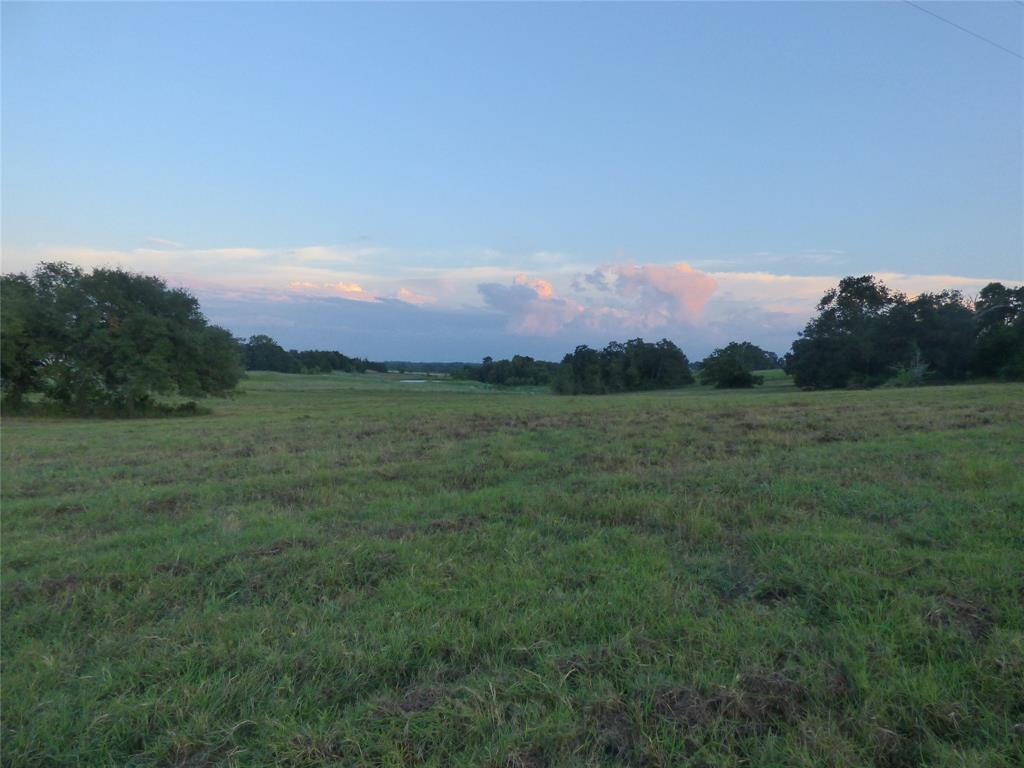 TBD Mount Vernon Road, Brenham, Texas image 7