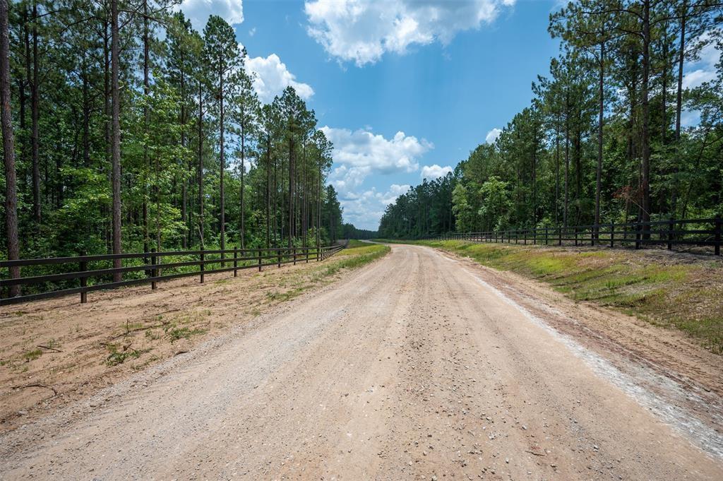 Tract 14 Timberland Branch Drive, Woodville, Texas image 6