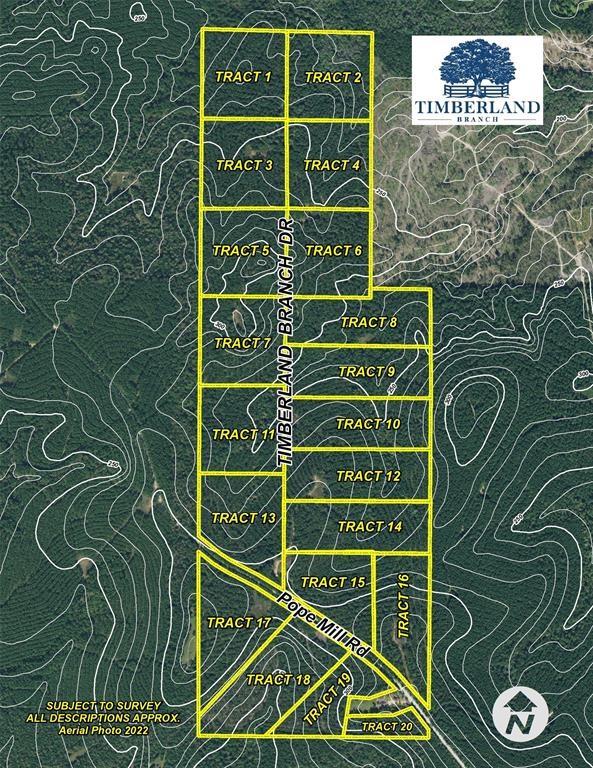 Tract 14 Timberland Branch Drive, Woodville, Texas image 10