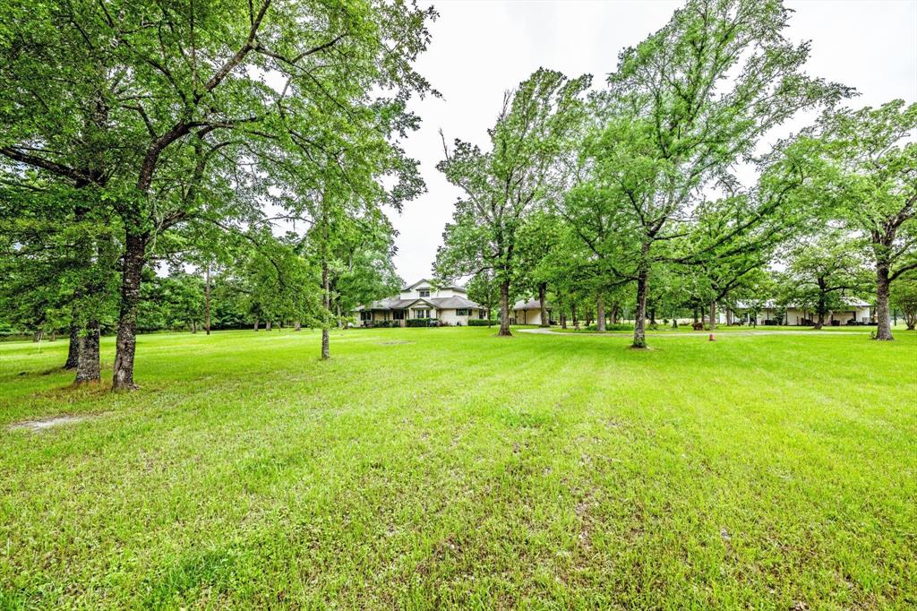375 Wood Farm Road, Huntsville, Texas image 4
