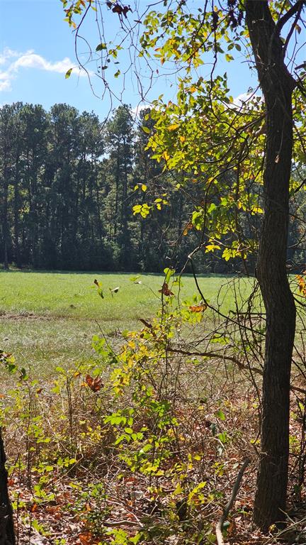 TBD Hawthorne Road N