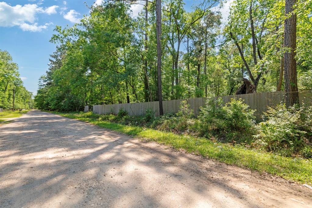 65 Ash Place, New Caney, Texas image 19