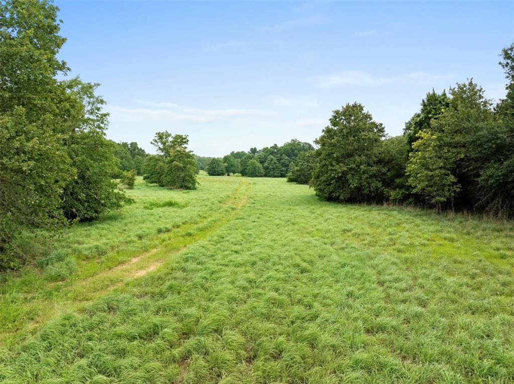 1012 County Road 438, Lexington, Texas image 17