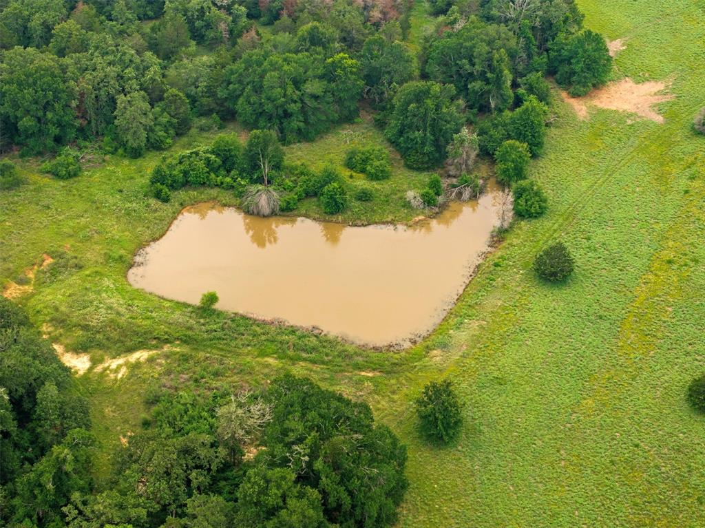 1012 County Road 438, Lexington, Texas image 12