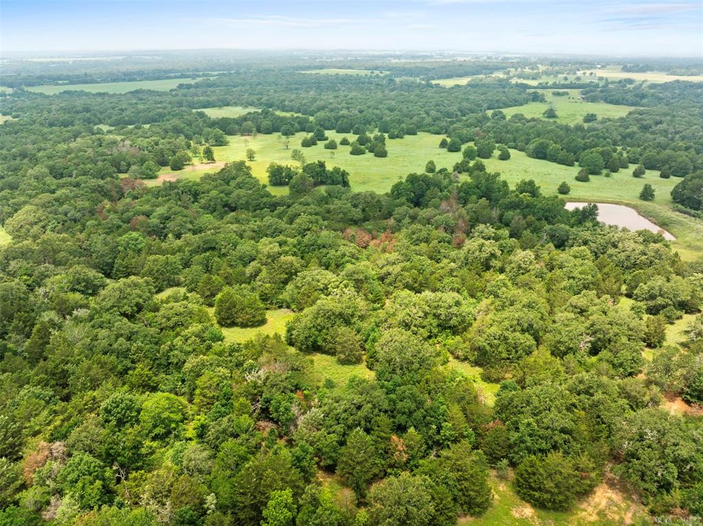 1012 County Road 438, Lexington, Texas image 9