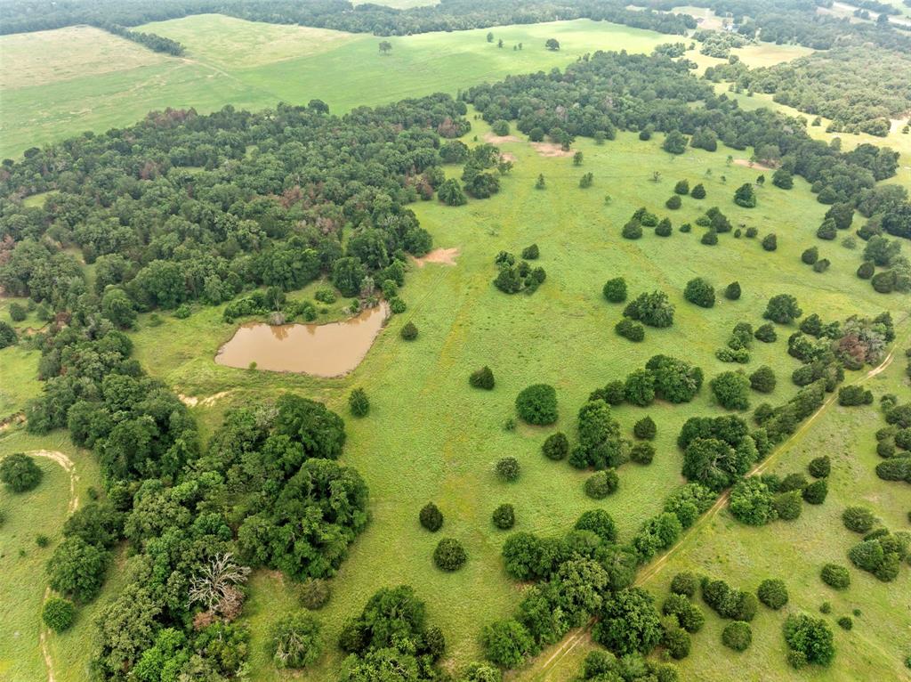 1012 County Road 438, Lexington, Texas image 11