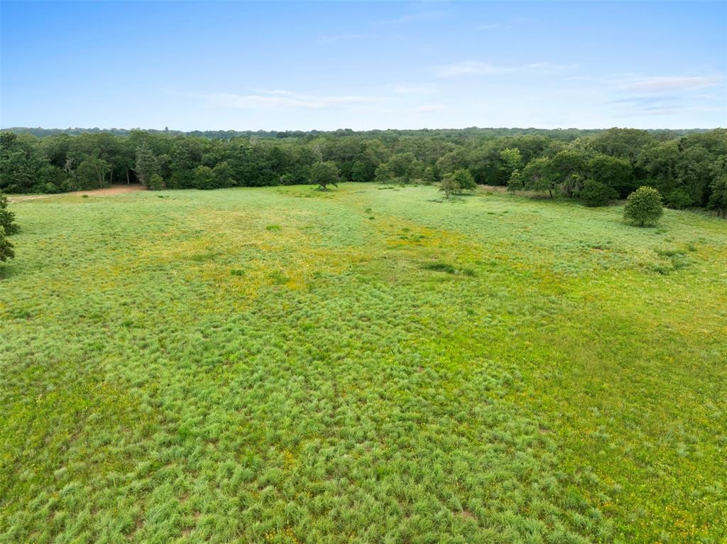 1012 County Road 438, Lexington, Texas image 14