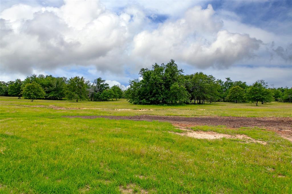 375 Green Acres Lane, Milano, Texas image 8