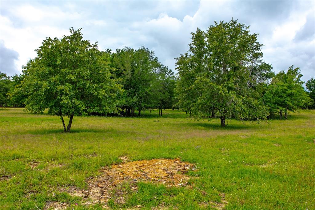 375 Green Acres Lane, Milano, Texas image 5