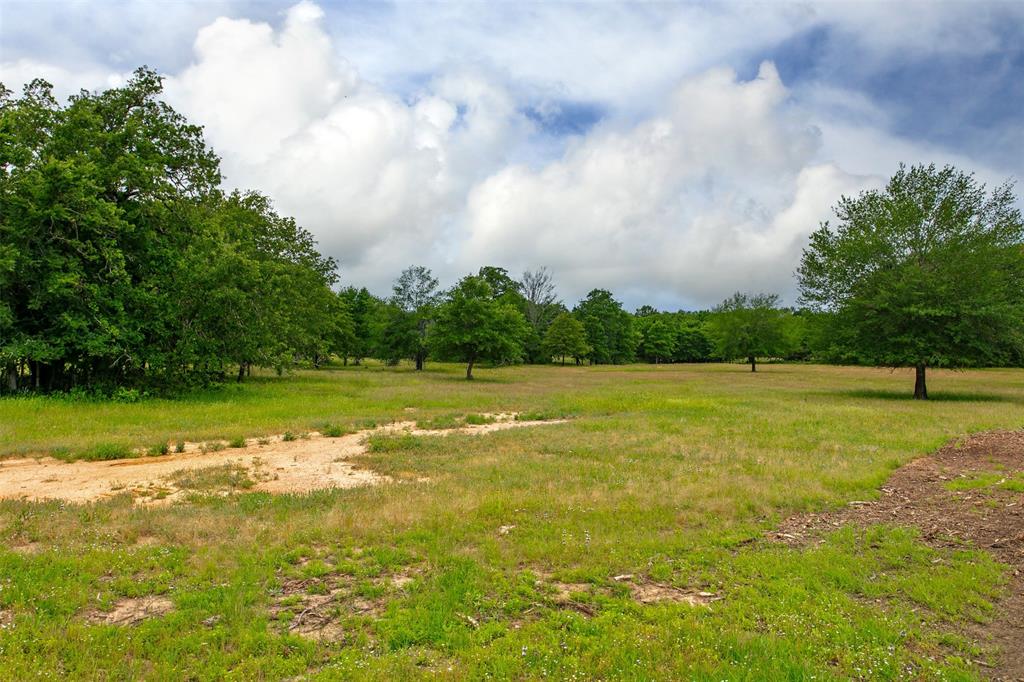 375 Green Acres Lane, Milano, Texas image 7
