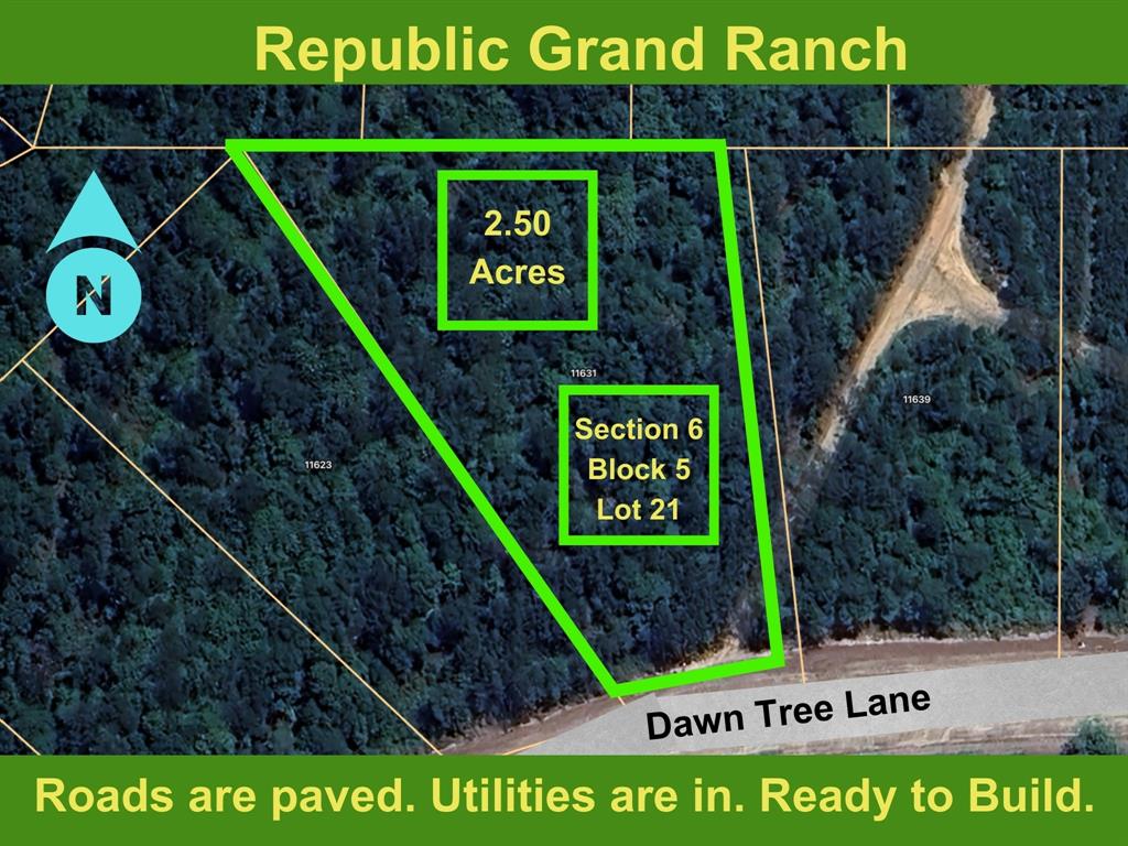 11631 Dawn Tree Lane, Willis, Texas image 1