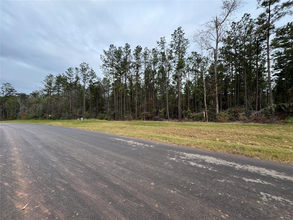 11631 Dawn Tree Lane, Willis, Texas image 8