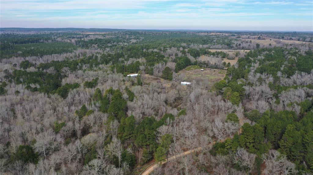 TBD Lot 1 County Rd 2240, Grapeland, Texas image 20