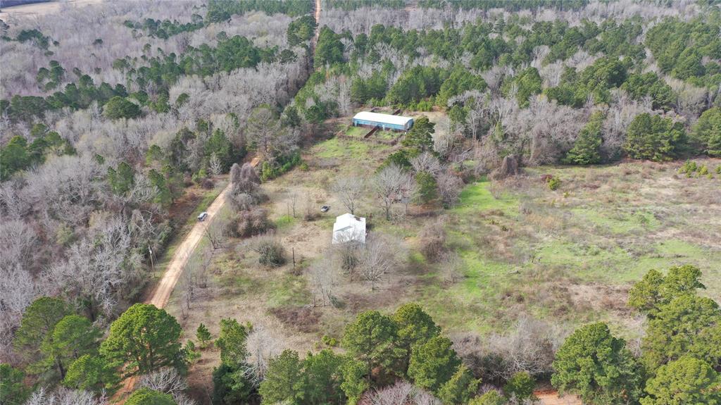 TBD Lot 1 County Rd 2240, Grapeland, Texas image 24