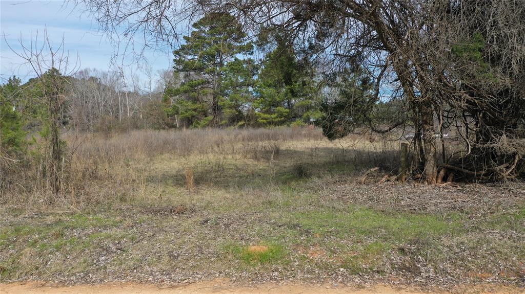 TBD Lot 1 County Rd 2240, Grapeland, Texas image 22