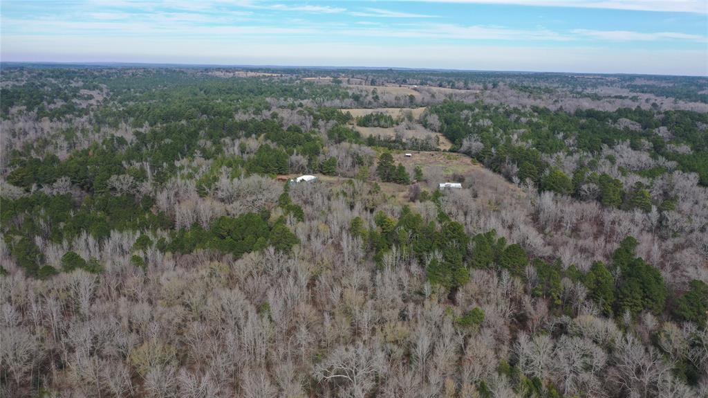TBD Lot 1 County Rd 2240, Grapeland, Texas image 21
