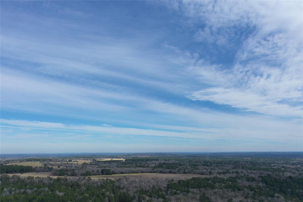 TBD Lot 1 County Rd 2240, Grapeland, Texas image 23