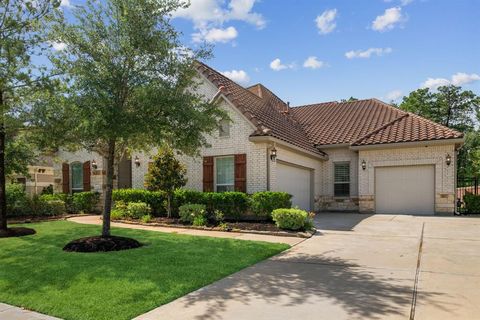 4051 Ashland Woods Drive Spring TX 77386
