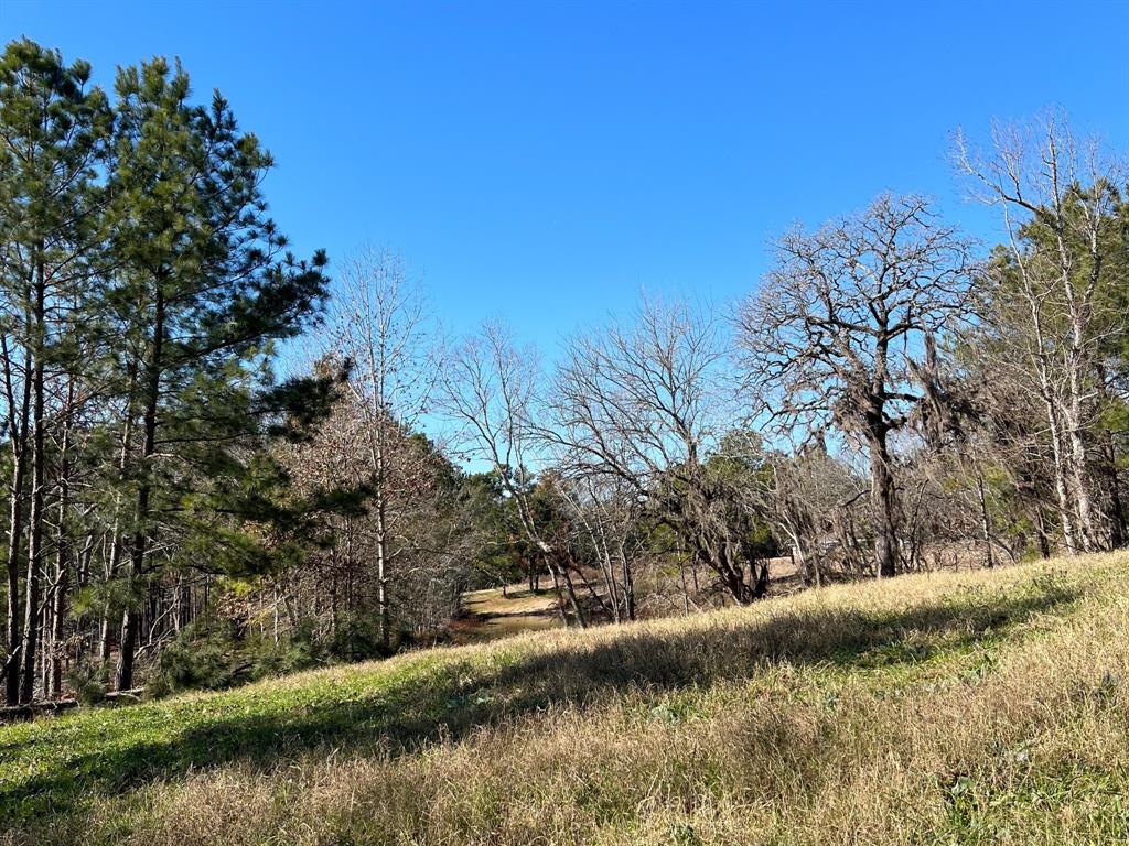 N N Farm Road 350, Livingston, Texas image 9