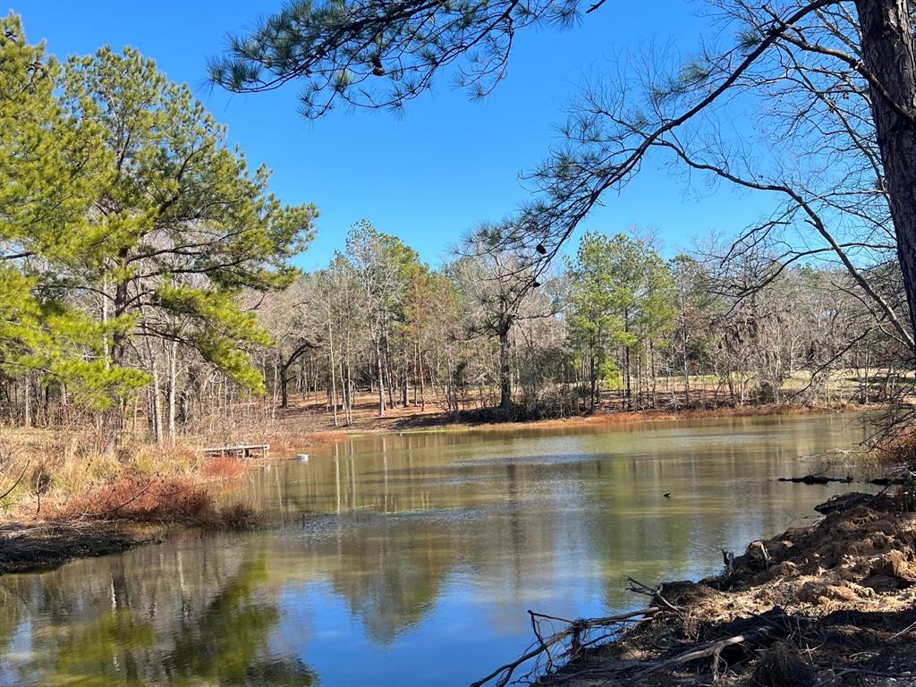 N N Farm Road 350, Livingston, Texas image 8