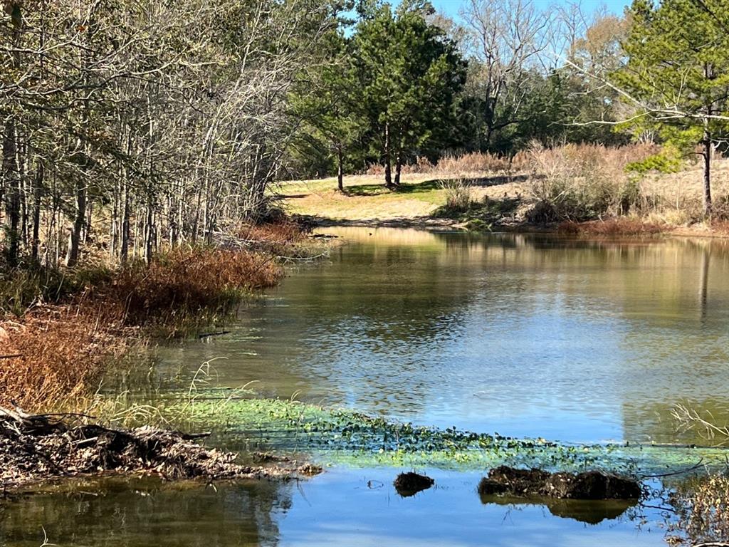 N N Farm Road 350, Livingston, Texas image 6