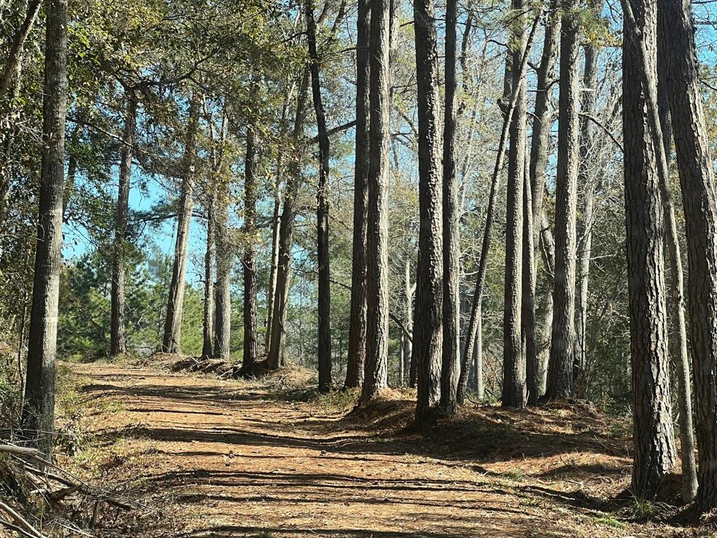 N N Farm Road 350, Livingston, Texas image 11