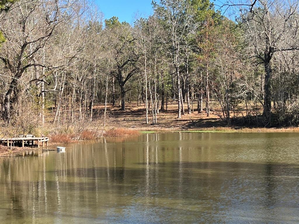 N N Farm Road 350, Livingston, Texas image 20