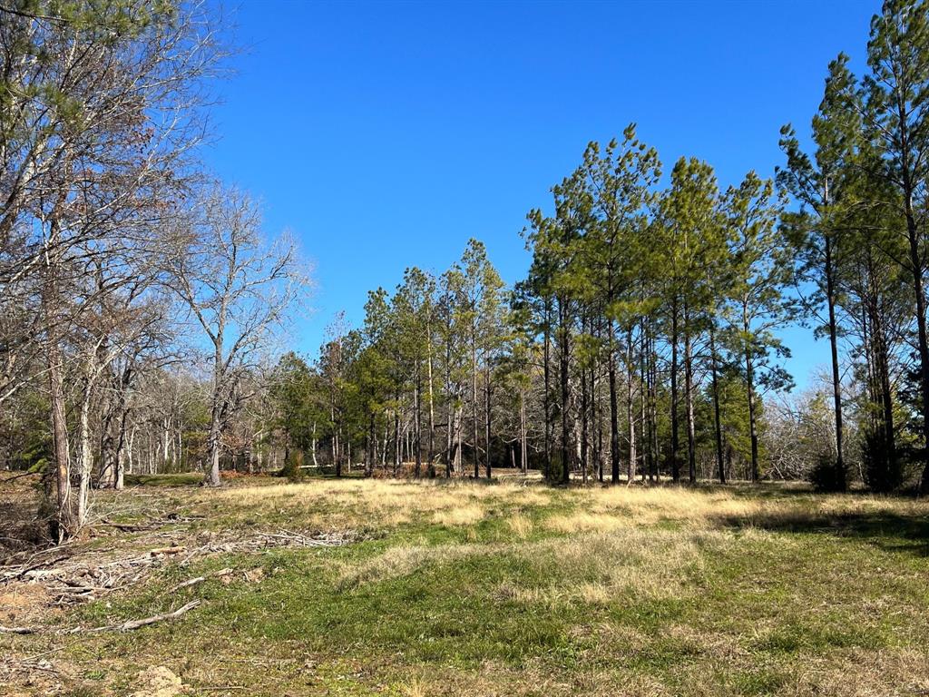 N N Farm Road 350, Livingston, Texas image 10