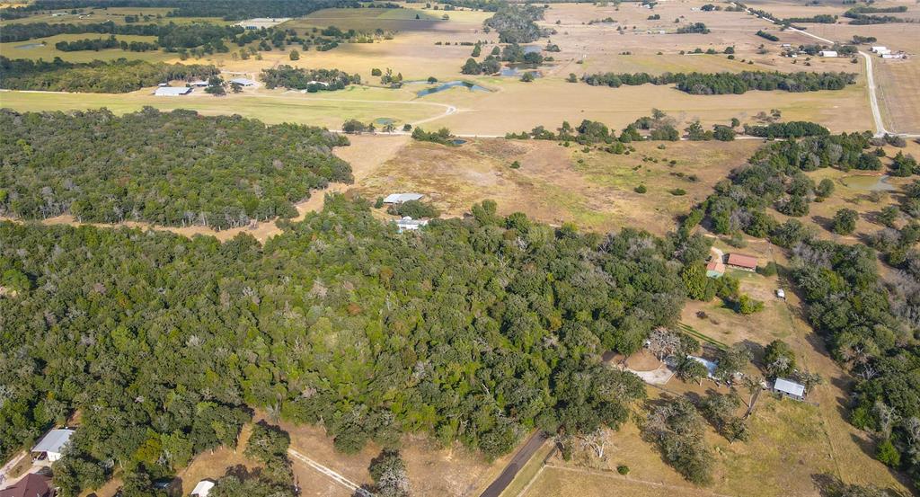 1922 County Road 324 - 31 Acres, Caldwell, Texas image 6